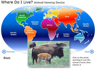 Where Do I Live? Animal Geography Game